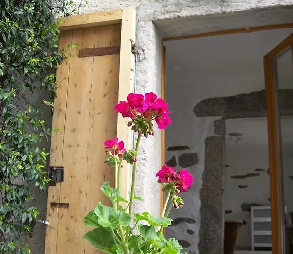 Banfi Apartament Brissago