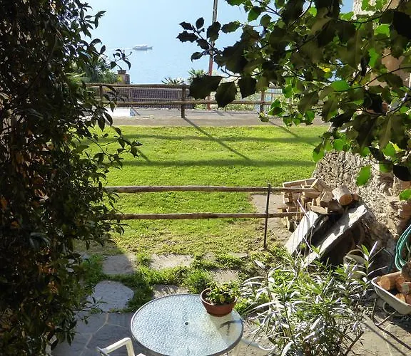 Banfi بريساغو